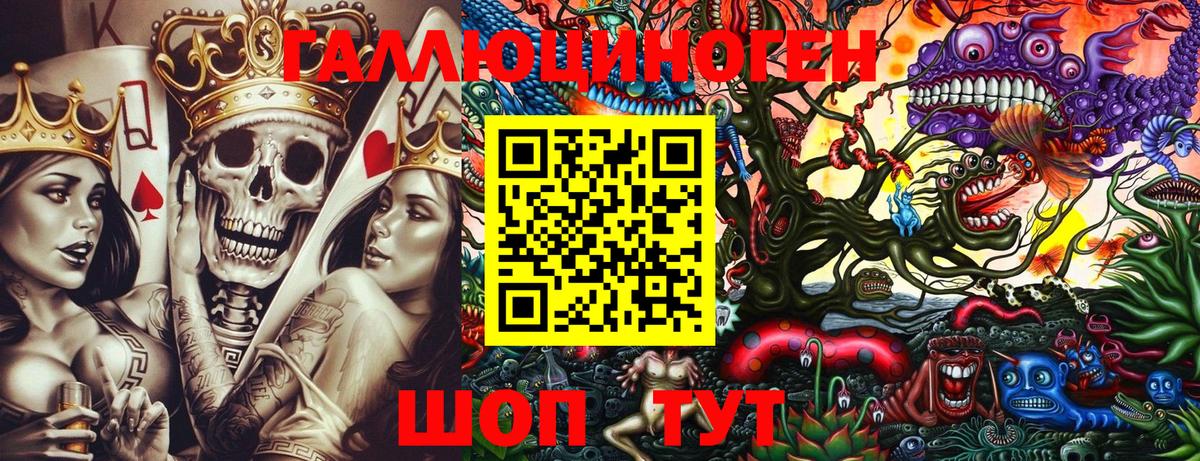 Галлюциногенные грибы Psilocybe Кохма